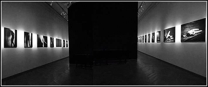 Dominique Issermann Laetitia Casta - Maison Europeenne de la Photographie (Paris)