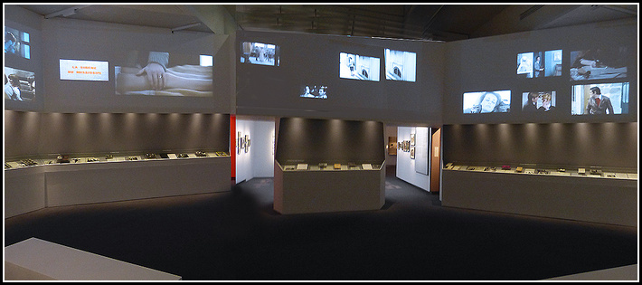 Francois Truffaut - Cinematheque Francaise (Paris)