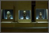 L homme expose - Musee de l Homme (Paris)