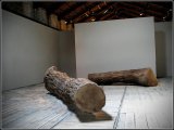 52 eme Biennale de Venise (Italie)