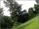 Centre d arts et de nature - Chateau de Chaumont sur Loire