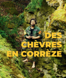 Des chèvres en Corrèze